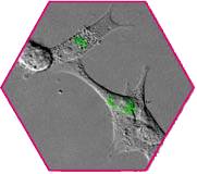 Multi-dimension microscopy