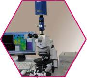 Ca++ or FRET Ratio Microscopy