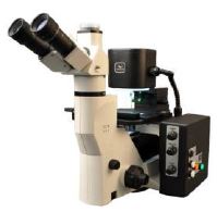 Cell Isolation Tissue Microdissection