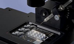 Capillary Cell Sorting