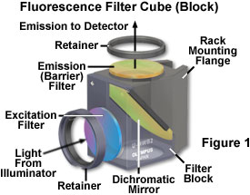 Microscope fluorescent filter cube