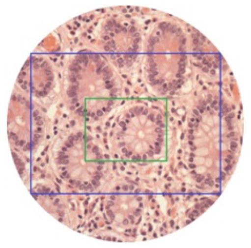 Microscope C-mount adapter