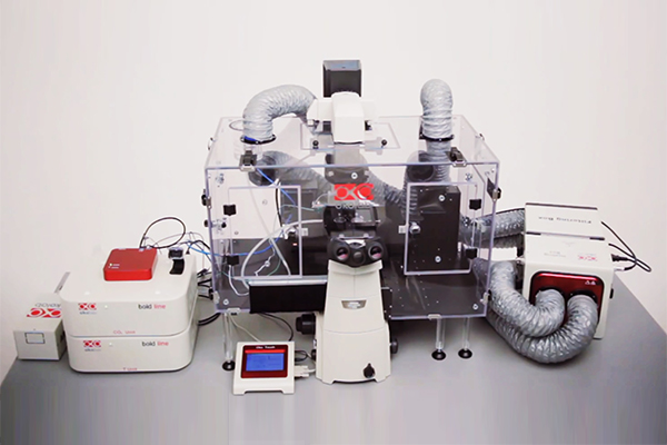 Microscope cage incubator