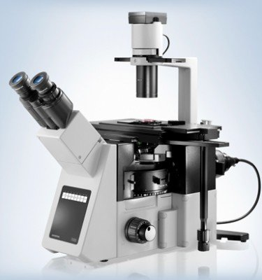 Inverted Microscope