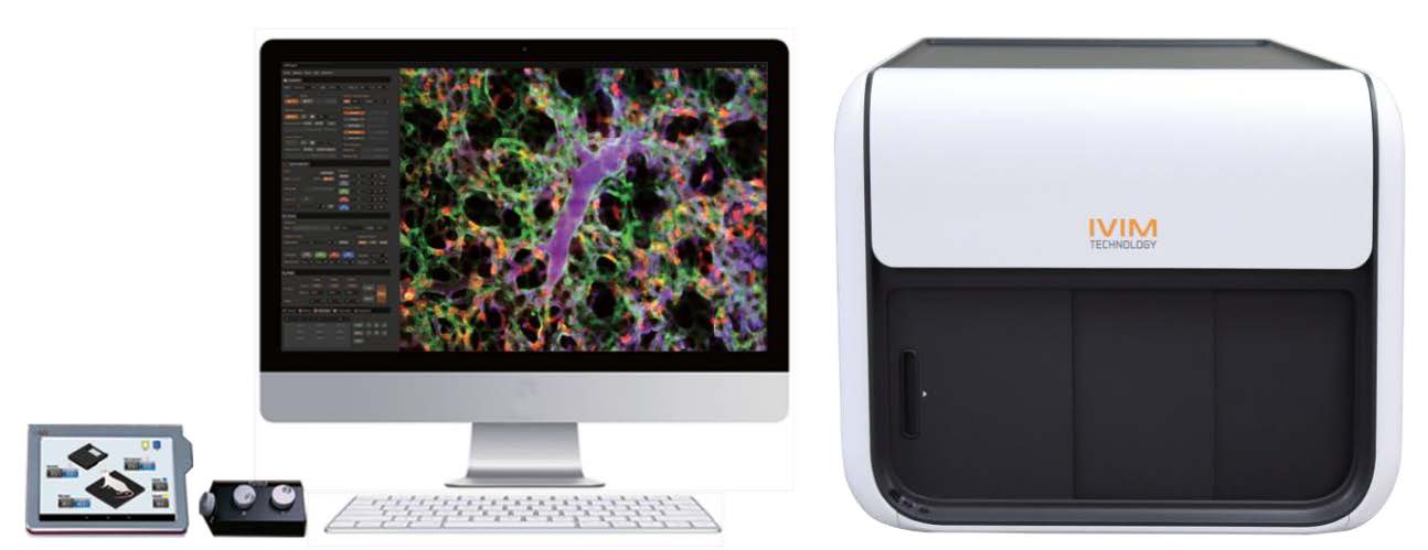 IVIM Real-Time IntraVital Microscopy